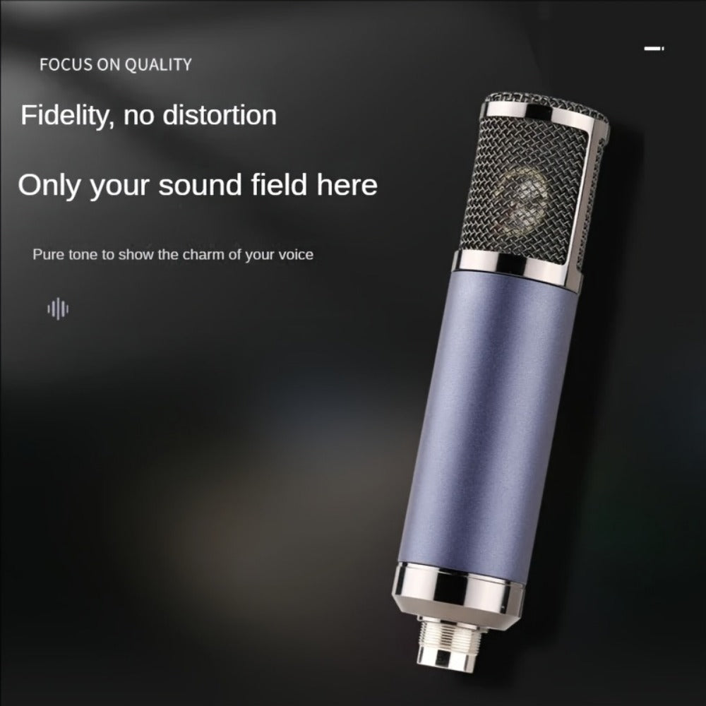 Recording Microphone, Cardioid, Condenser, F22, Metal for Recording and Streaming
