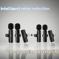Two-piece set (4 microphones + 2 Type-C receivers)